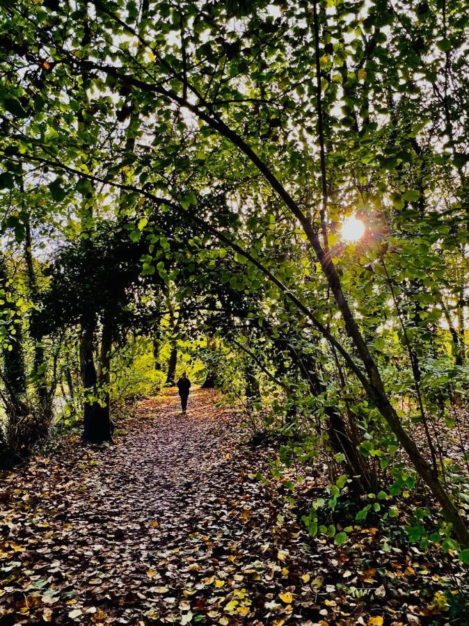 Dapps Hill Haven - Between Bristol And Bath, Both 9 Mins By Train! เคนแชม ภายนอก รูปภาพ