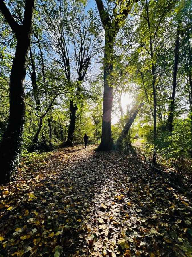 Dapps Hill Haven - Between Bristol And Bath, Both 9 Mins By Train! เคนแชม ภายนอก รูปภาพ