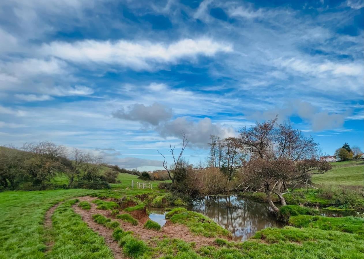 Dapps Hill Haven - Between Bristol And Bath, Both 9 Mins By Train! เคนแชม ภายนอก รูปภาพ
